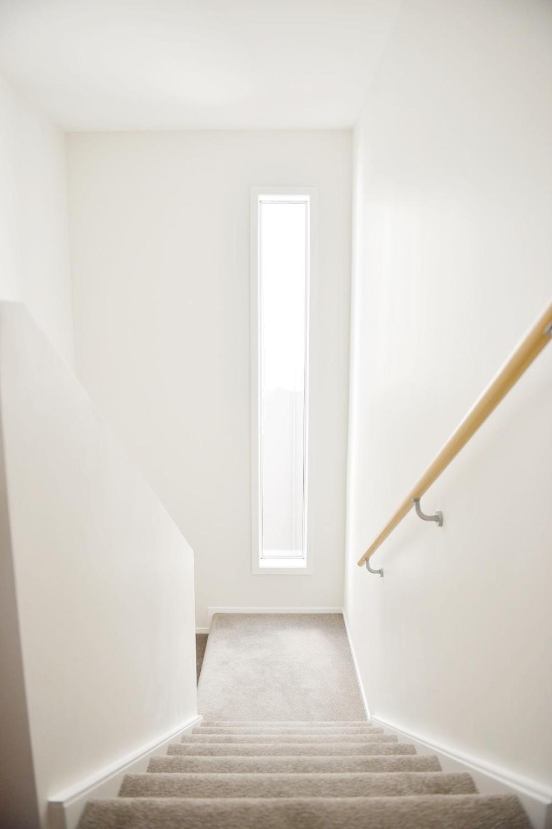 Johnsonville Brand New Lovely Townhouse Wellington Eksteriør billede